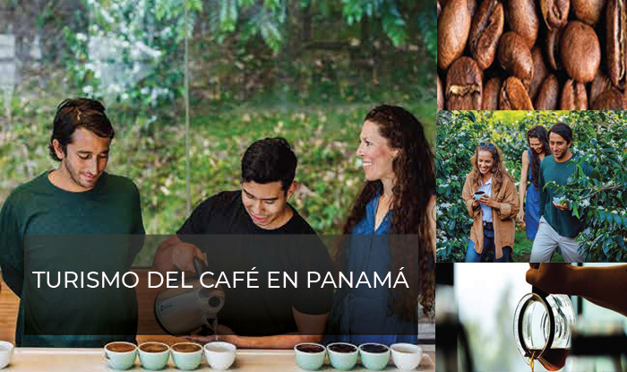 Turismo del Café en Panamá